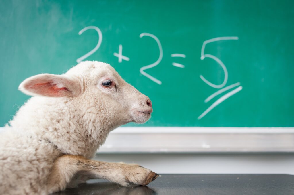 Image of "2+2=5" on blackboard, goat in front