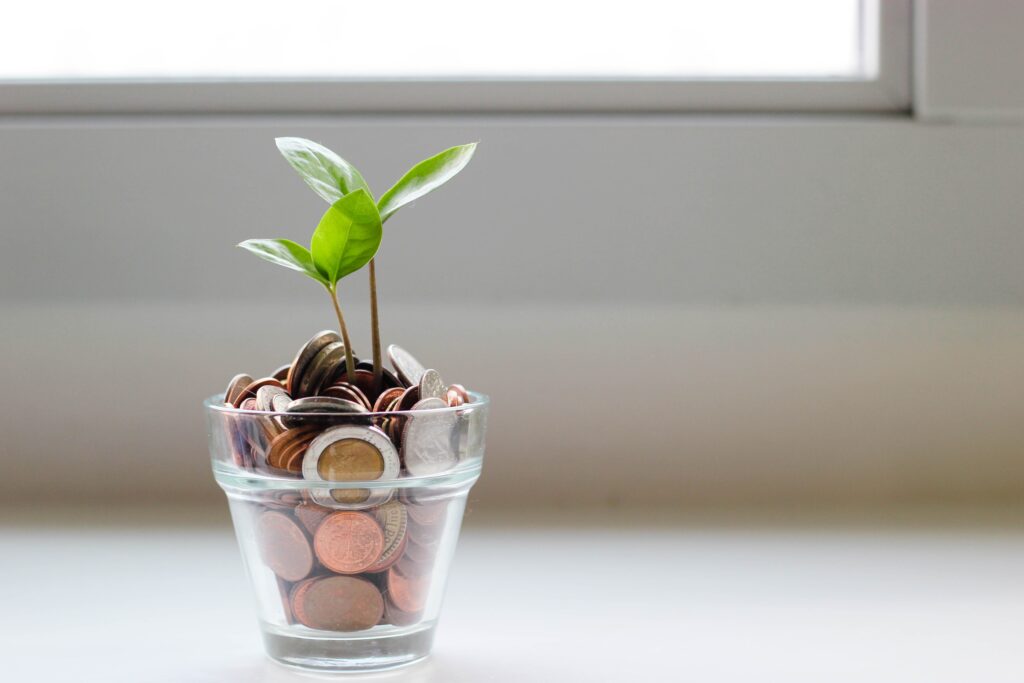 Image of a jar of coins with a plant growing out of it
