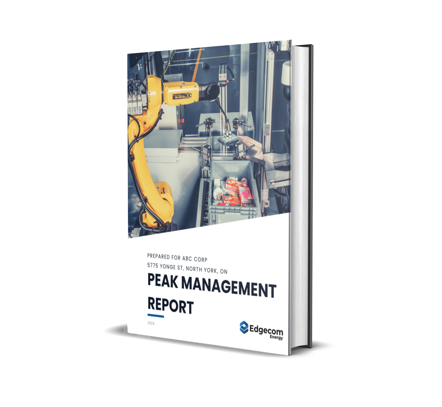 Peak management report book